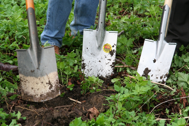 pepiniere-LE BOURGUET-min_work-lawn-flower-tool-green-backyard-1103633-pxhere.com